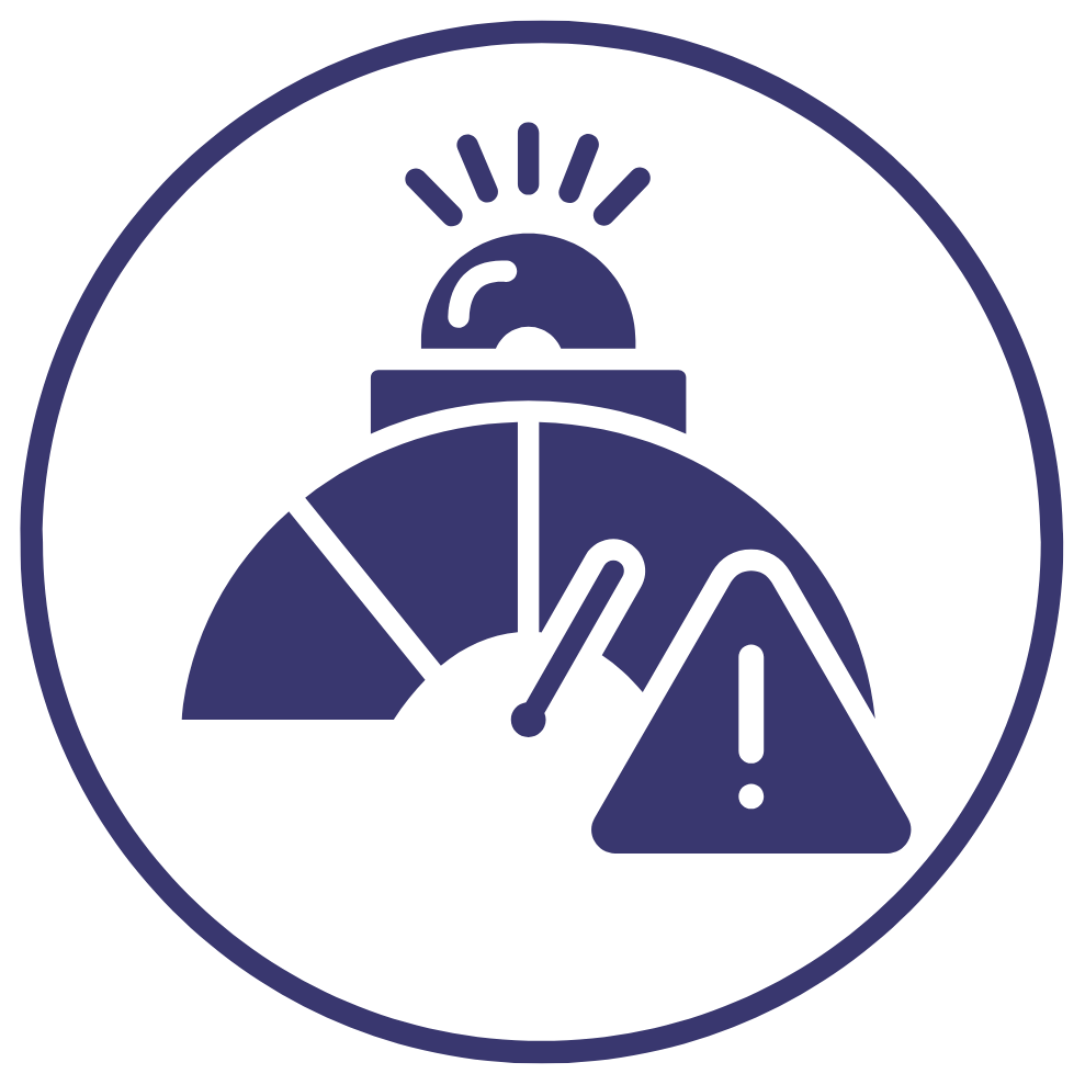 Icon 5