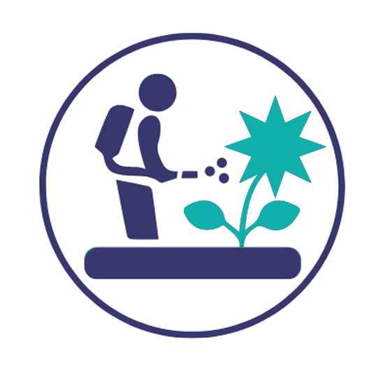 Streamline Food Supply Chain