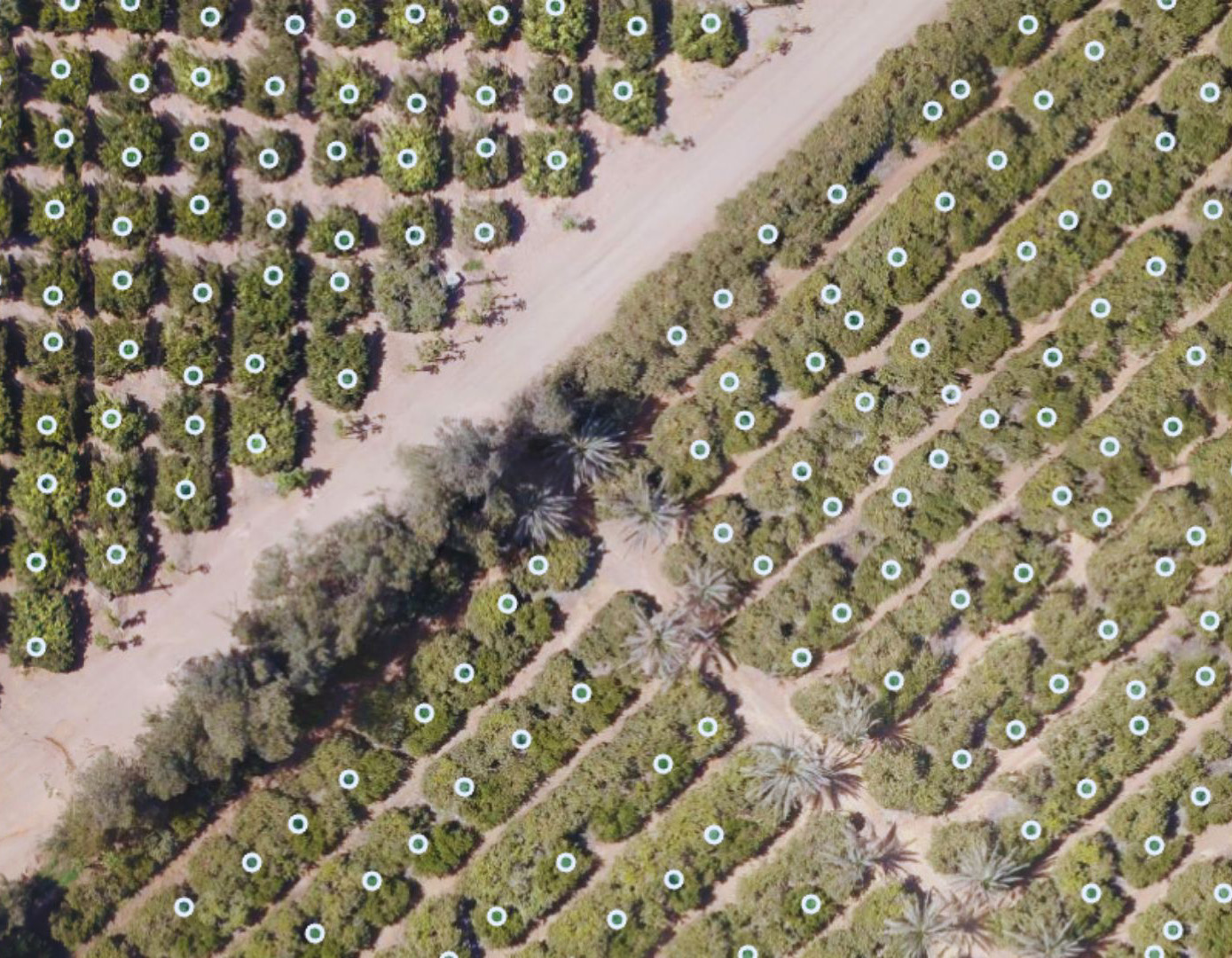 Crop Monitoring