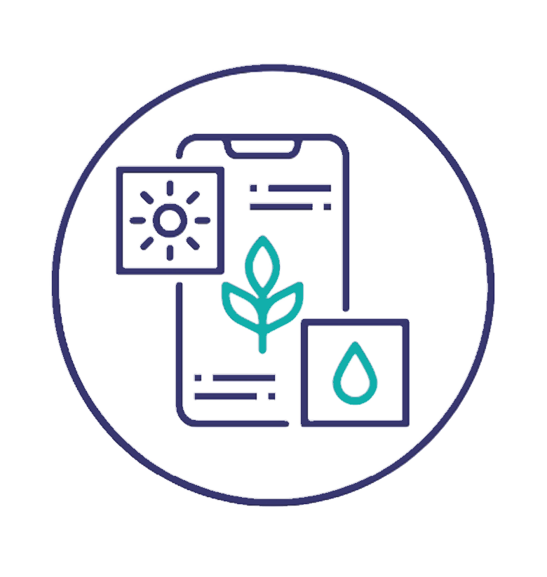Teams Icon